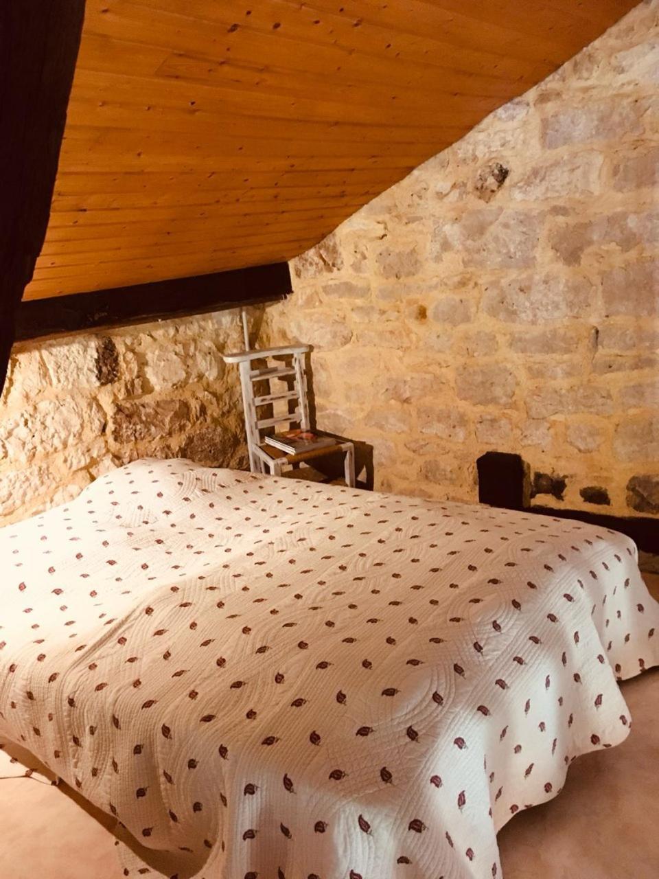 Le Mas Des Papillons Fargues  Esterno foto