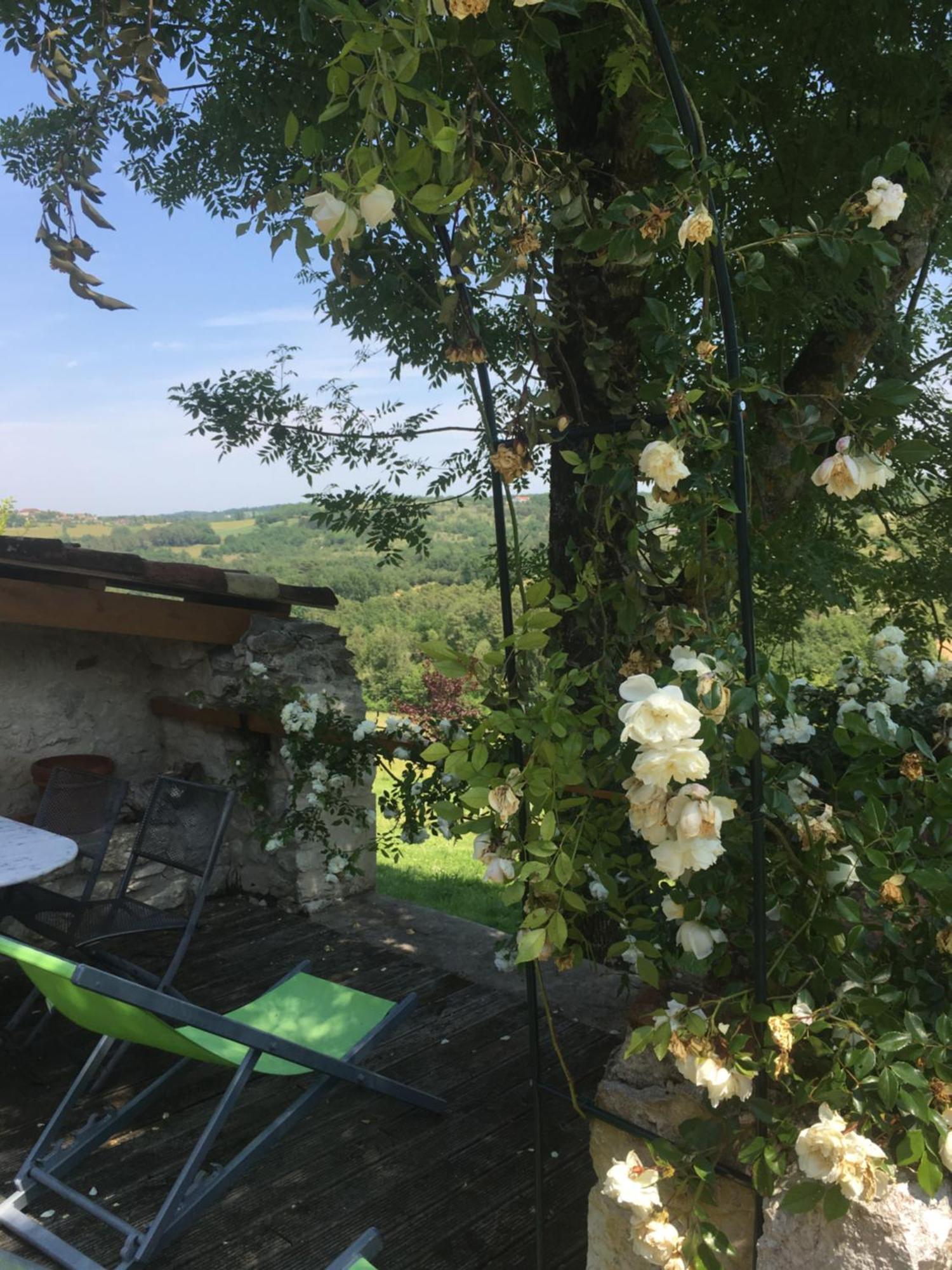 Le Mas Des Papillons Fargues  Esterno foto