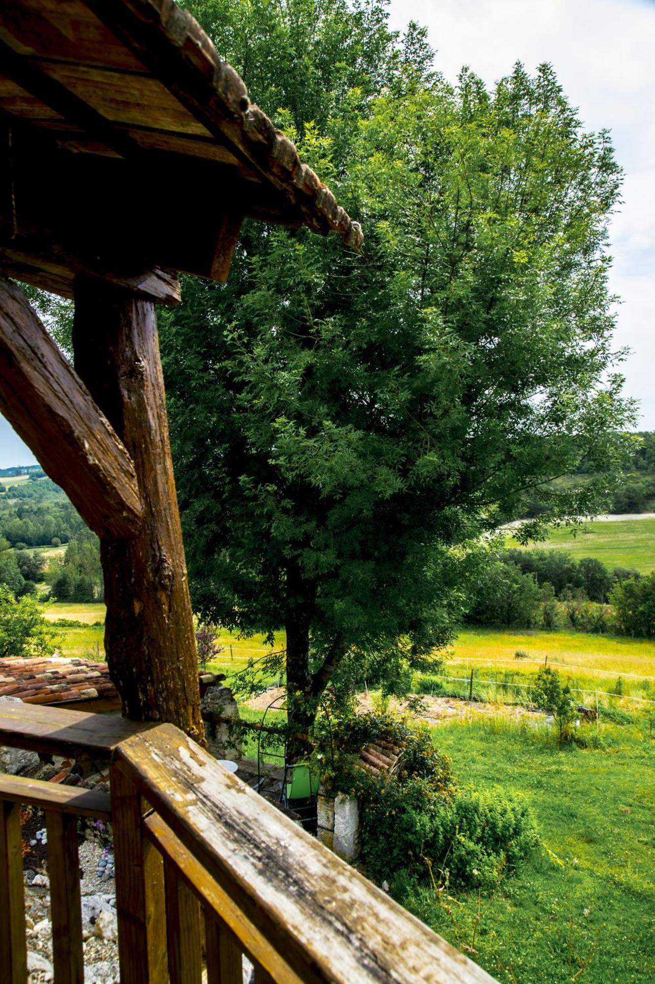 Le Mas Des Papillons Fargues  Esterno foto