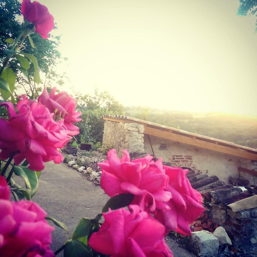 Le Mas Des Papillons Fargues  Esterno foto