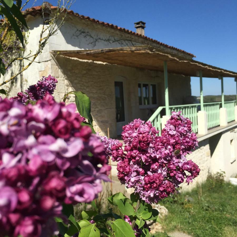 Le Mas Des Papillons Fargues  Esterno foto